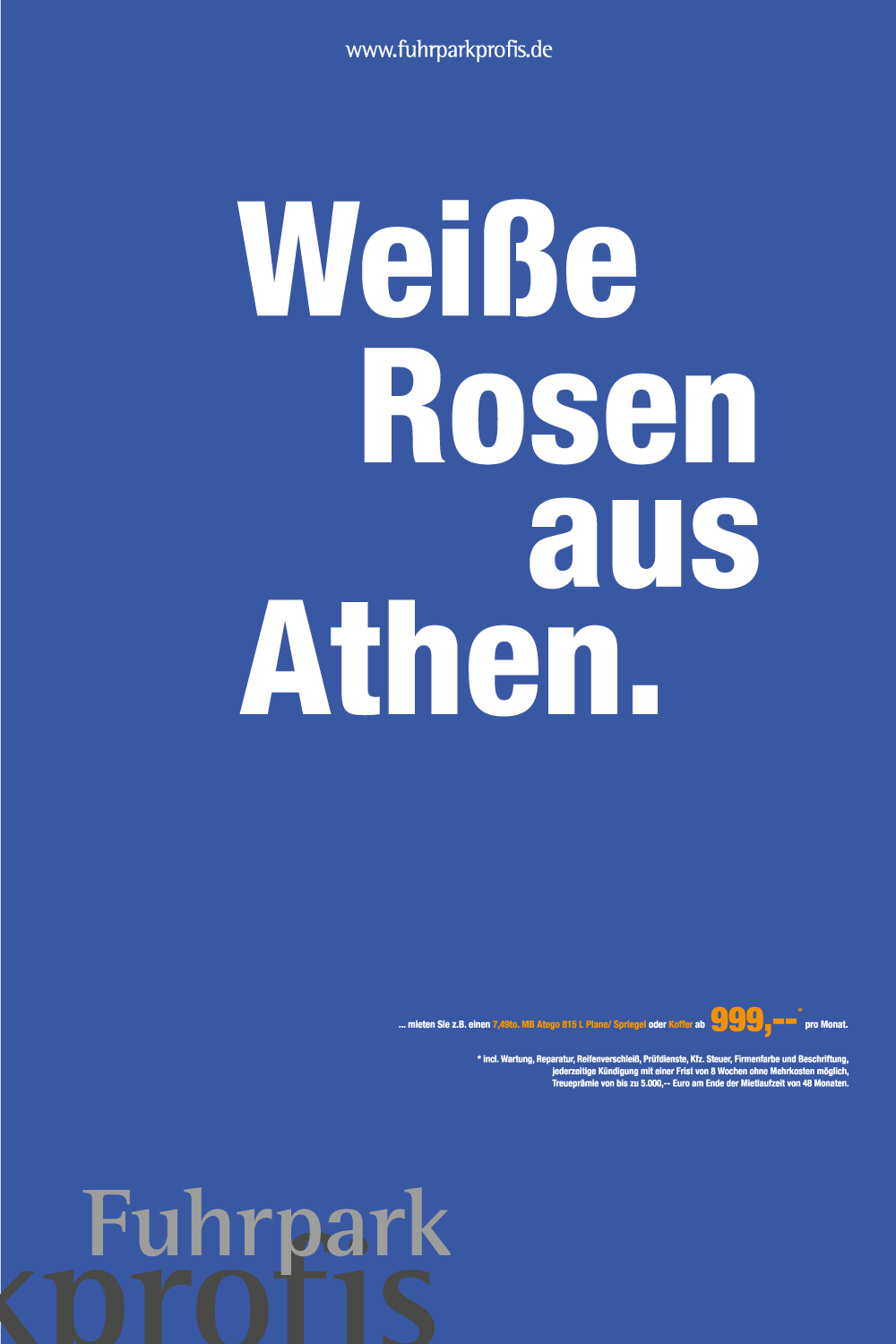 weiße Rosen aus Athen Anzeigen Kampagne